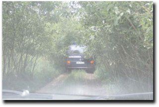 Jandarmii d�mbovițeni, pe urma f�r�delegilor