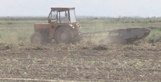 Fermierii, dezinteresai de noile condiii pentru schemele de sprijin