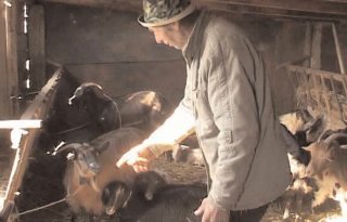 Plata subven�iilor, la m�na unor func�ionari nepreg�ti�i din Ministerul Agriculturii