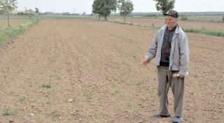 Fermierii d�mbovi�eni, la mila ploilor