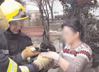 Pisicu salvat de pompierii de la Moreni