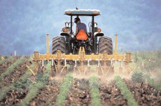 Prelungirea termenului pentru cererile de plat�