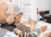 181 de bilete de tratament, inclusiv la Pucioasa