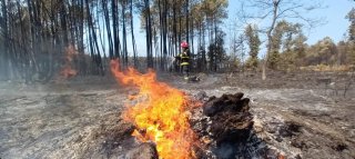 Pompieri dmbovițeni intervin n incendiile din Franța
